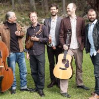 The Bills The bills - Harrsion Festival of the Arts